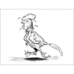 Dibujo para colorear Gallodesplumado Dibujo De Gallo Desplumado Para Pintar Y Colorear Gallo Penqueado Adolorodo Y Sin Plumas