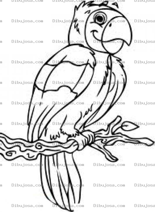 Dibujo para colorear Colorear Perico En Rama Dibujo De Un Lorito Para Pintar