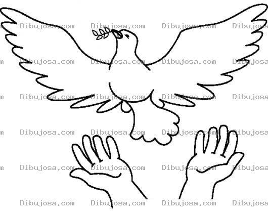 Dibujo para colorear La Paloma Del Espiritu Santo Para Colorear
