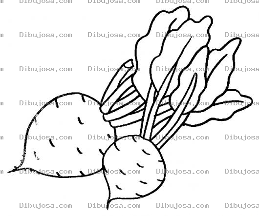 Dibujo para colorear Rabanitos Dibujo De Dos Rabanos Para Pintar Y Colorear Rabanoyodado