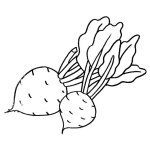 Dibujo para colorear Rabanitos Dibujo De Dos Rabanos Para Pintar Y Colorear Rabanoyodado