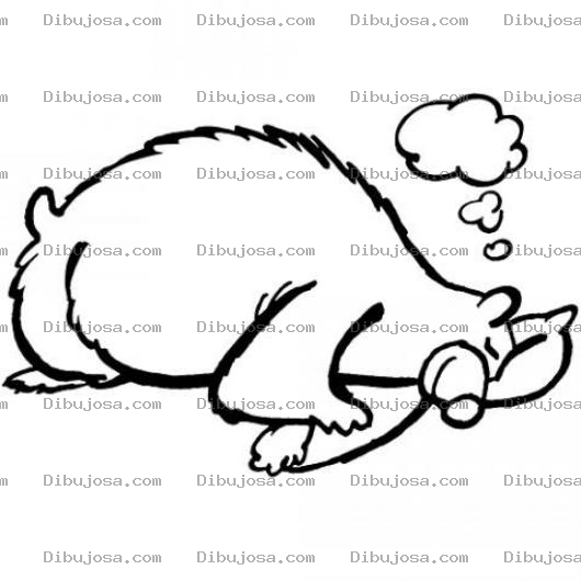 Dibujo para colorear Oso Dormilon Dibujo De Oso Durmiendo Para Pintar Y Colorear Oso Hibernador Hibernando
