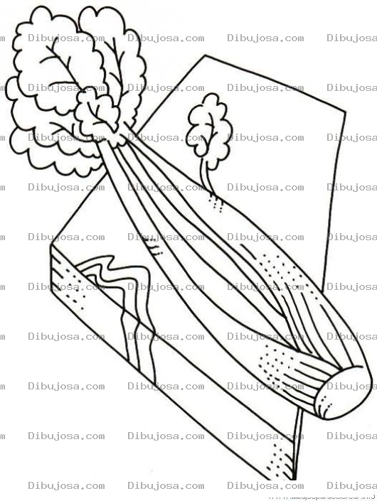Dibujo para colorear Colorear Apio