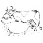 Dibujo para colorear Dibujo De Gato Gordo Mamando Leche De Una Vaca Para Pintar Y Colorear