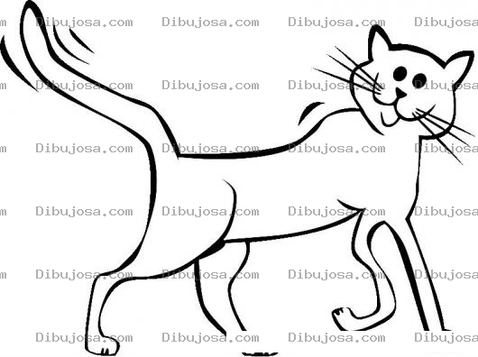 Dibujo para colorear Gataencelo Dibujo De Gata En Celo Moviendo La Cola Para Pintar Y Colorear Gata En Brama Gata Caliente