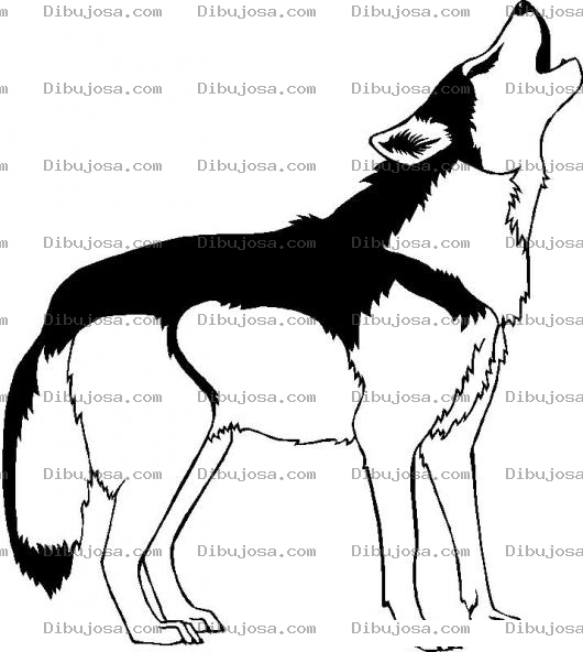 Dibujo para colorear Colorear Lobo Ahuyador