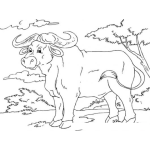 Dibujo para colorear Dibujo De Bufalo Para Pintar Y Colorear