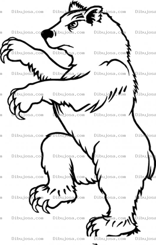 Dibujo para colorear Osokarateca Dibujo De Oso Karateca Haciendo La Cata De Karate Kid Para Pintar Y Colorear