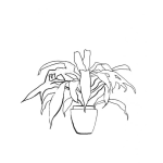 Dibujo para colorear Maseta Decorativa Dibujo De Planta En Una Maceta Para Colorear Maseta