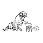 Dibujo para colorear Dibujo De Perro Labrador Cabrito Y Conejo Para Pintar Y Colorear
