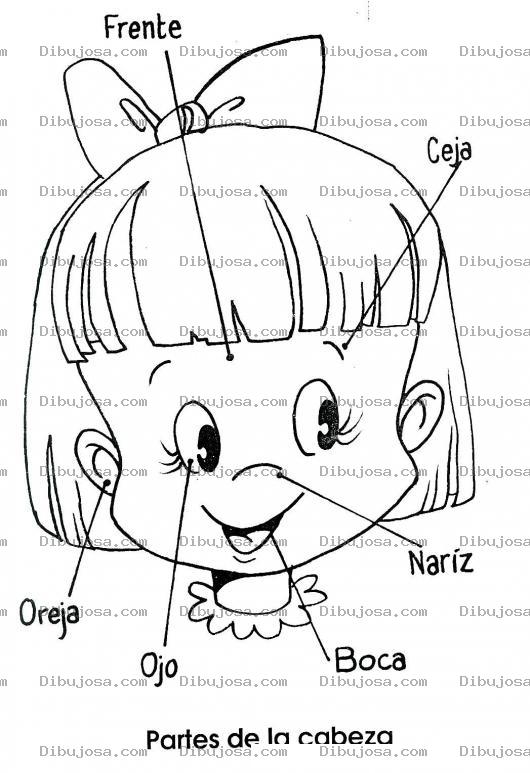 Dibujo para colorear Colorear Las partes de la cara