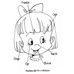 Dibujo para colorear Colorear Las partes de la cara