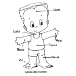 Dibujo para colorear Colorear Las partes del cuerpo humano