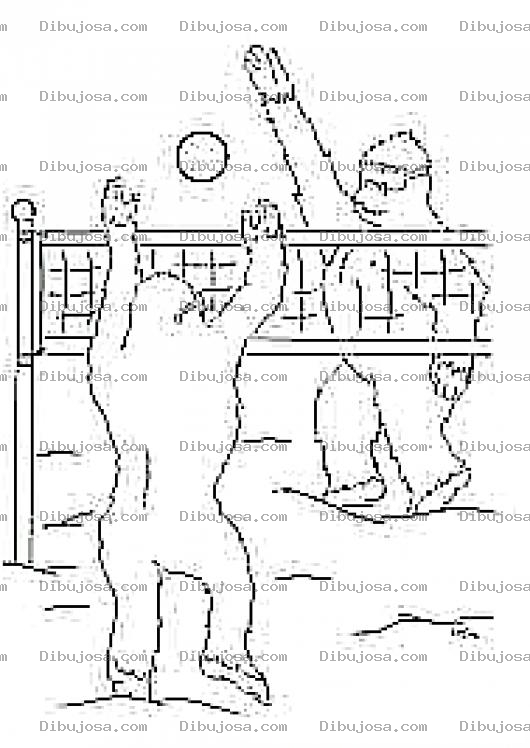 Dibujo para colorear Monos Jugando Voleyball Para Coloreara Bolibol De Playa