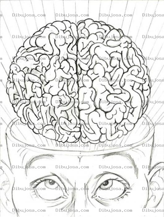 Dibujo para colorear Cerebro Sexual Dibujo Del Cerebro De Ninfomania Para Pintar Y Colorear A Una Persona Que Solo Piensa En Sexo
