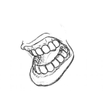 Dibujo para colorear Dibujo De Boca Con Dientes Para Colorear Una Dentadura