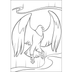 Dibujo para colorear Dibujo De Aguila Enojada Para Colorear