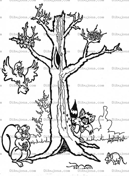 Dibujo para colorear Animales Del Bosque Con Un Arbol Para Colorear