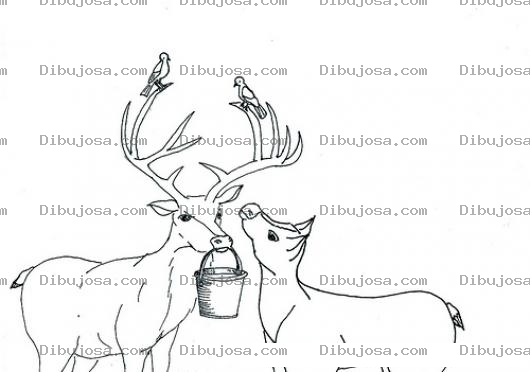 Dibujo para colorear Dibujo De Alce Con Cubeta Y Pajaritos En Sus Cuernos Para Pintar Y Colorear