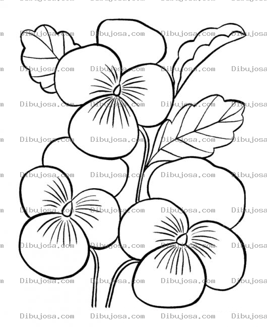 Dibujo para colorear Planta De Flores Para Colorear