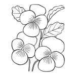 Dibujo para colorear Planta De Flores Para Colorear