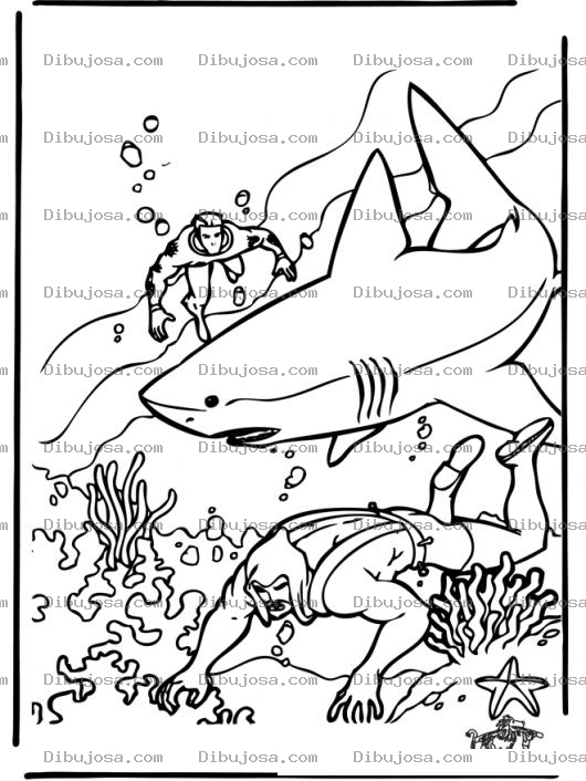 Dibujo para colorear Tiburon Asesino Dibujo De Tiburon Blanco Para Pintar Y Colorear
