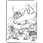 Dibujo para colorear Tiburon Asesino Dibujo De Tiburon Blanco Para Pintar Y Colorear