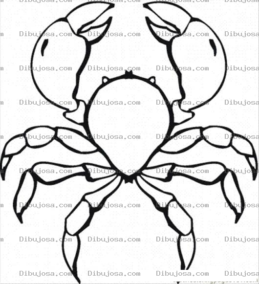 Dibujo para colorear Colorear Cangrejito Tenazudo