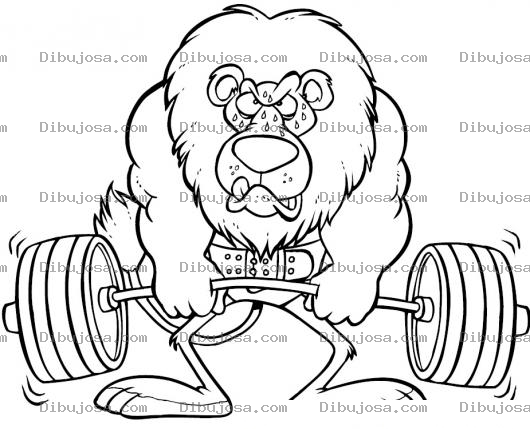 Dibujo para colorear Leon Musculoso Levantando Pesas Para Pintar Y Colorear Dibujo De Leon Fisiculturista