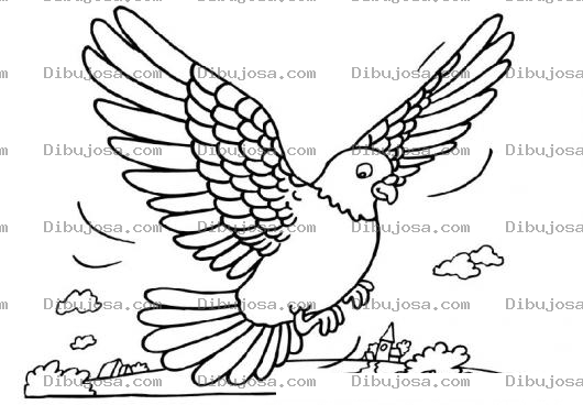 Dibujo para colorear Dibujo De Paloma Volando Para Pintar Y Colorear