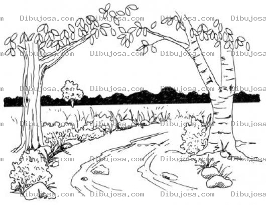 Dibujo para colorear Dibujo De Un Riachuelo Para Pintar Y Colorear Un Arroyo