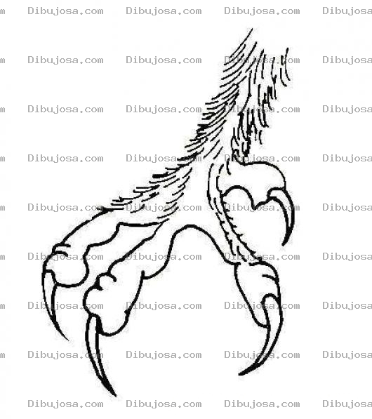 Dibujo para colorear Garra De Aguila Para Pintar Y Colorear