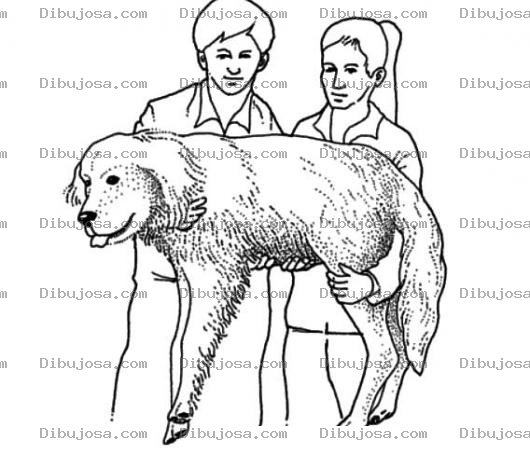 Dibujo para colorear Pareja De Veterinarios Cargando A Un Perro Para Pintar Y Colorear A Un Veterinario Con Su Asitente