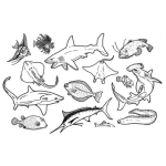 Dibujo para colorear Dibujos De Animales Acuaticos Para Colorear