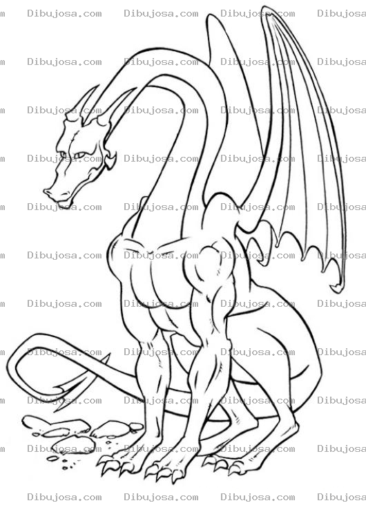 Dibujo para colorear Dibujos Para Colorear Dragon