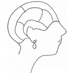 Dibujo para colorear Cerebro De Mujer Para Pintar Y Colorear El Cerebro De Una Mujer