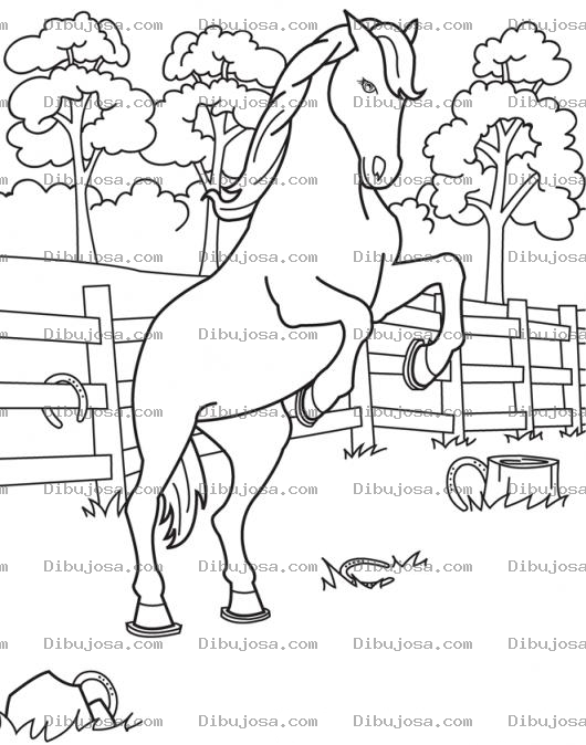Dibujo para colorear Colorear Caballo Parado En Dos Patas