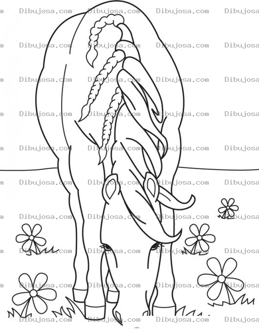 Dibujo para colorear Dibujo De Caballo Comiendo Cesped Llano Grama Sacate O Monte Para Pintar Y Colorear