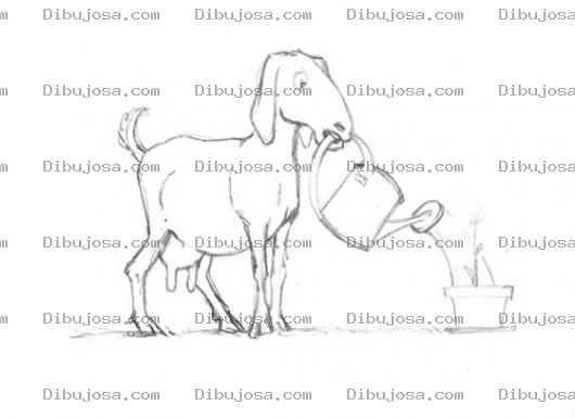 Dibujo para colorear Cabra Jardinera Para Pintar Y Colorear