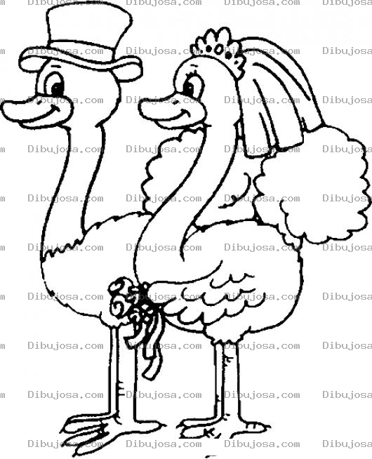 Dibujo para colorear Boda De Avestruces Para Pintar Y Colorear