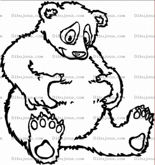 Dibujo para colorear Lonjas De Oso Para Pintar Y Colorear Dibujo De Osito Gordito