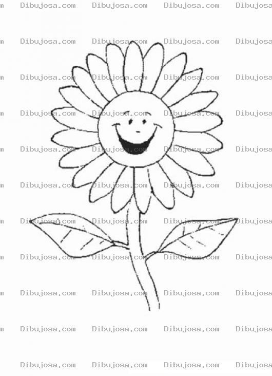 Dibujo para colorear Colorear Girasol
