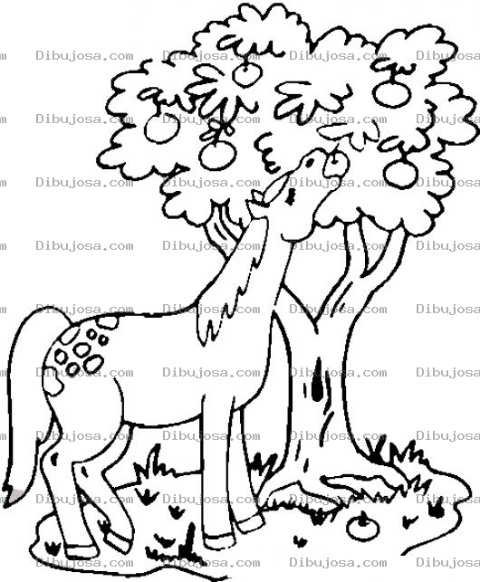 Dibujo para colorear Dibujo De Caballo Comiendo Manzanas