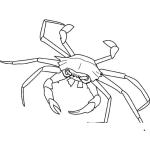 Dibujo para colorear Dibujo De Una Jaiba Para Pintar Y Colorear Cangura