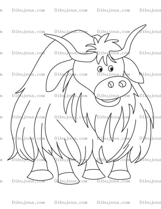 Dibujo para colorear Colorear Bufalo