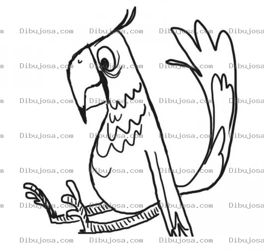 Dibujo para colorear Loro Sentado Dibujo De Perico Cansado Sentado En El Suelo Para Pintar Y Colorear Cotorro Sentado En El Piso