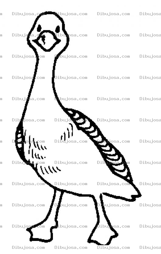Dibujo para colorear Dibujo De Patito Amigable Para Pintar Y Colorear