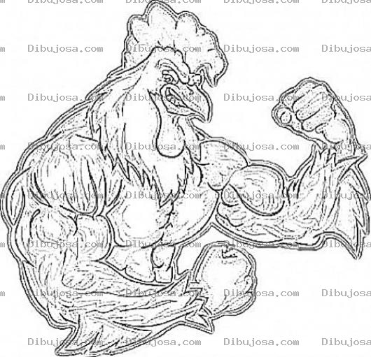 Dibujo para colorear Gallo Mamado Dibujo De Gallo Musculoso Para Pintar Y Colorear