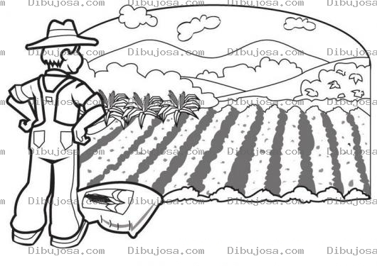 Dibujo para colorear Colorear Sembrador