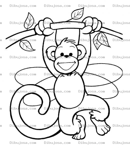 Dibujo para colorear Colorear Mico